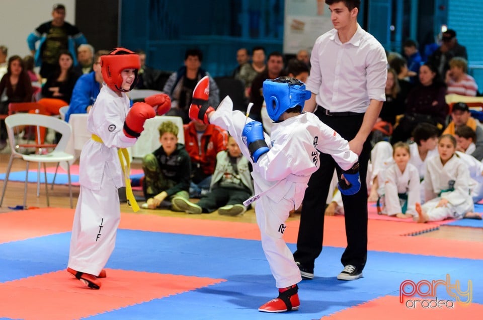 Cupa Bihorul TKD, 