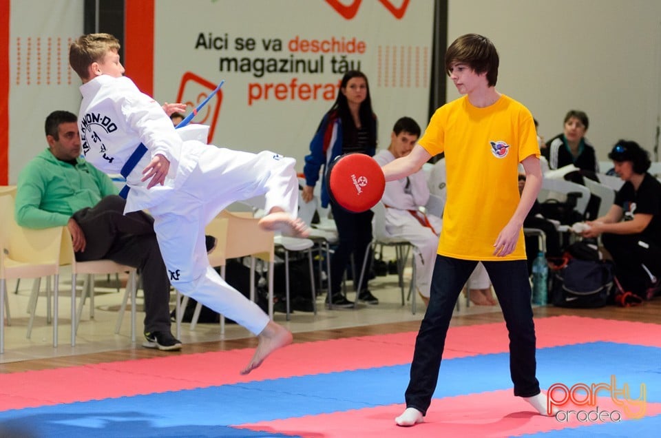 Cupa Bihorul TKD, 