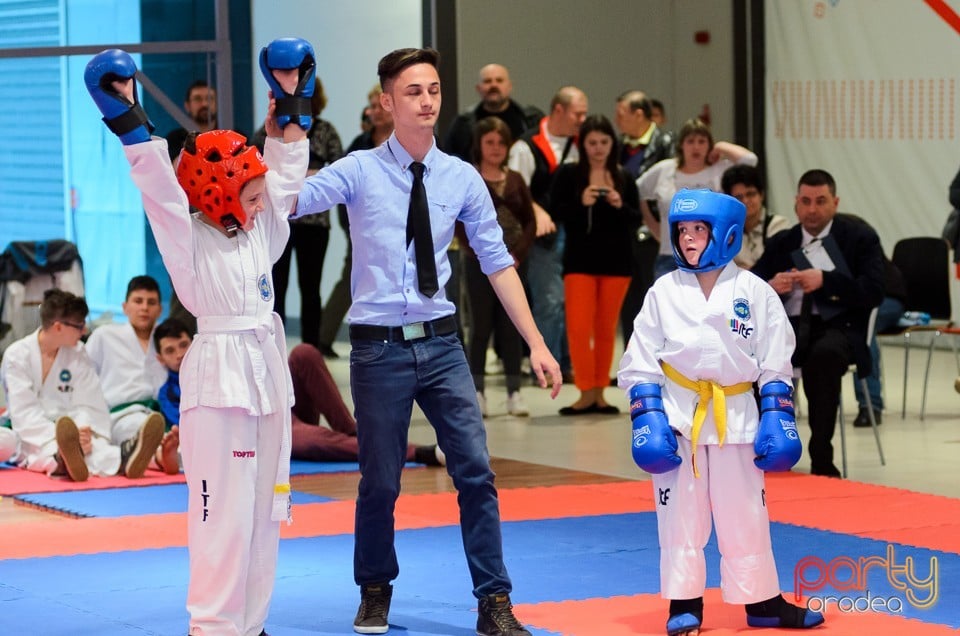 Cupa Bihorul TKD, 