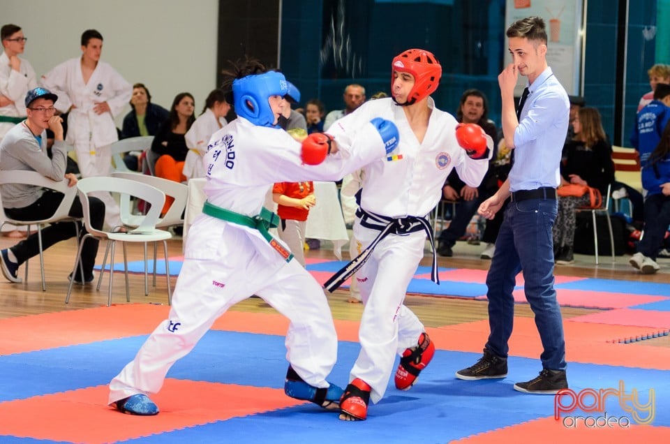 Cupa Bihorul TKD, 