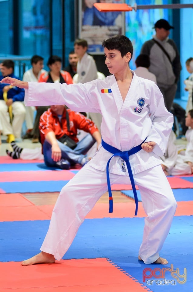 Cupa Bihorul TKD, 