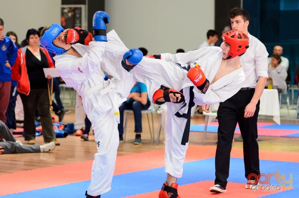 Cupa Bihorul TKD, 