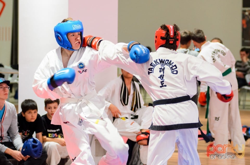 Cupa Bihorul TKD, 