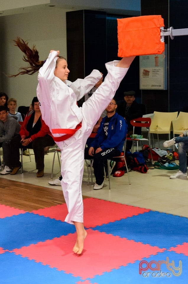 Cupa Bihorul TKD, 