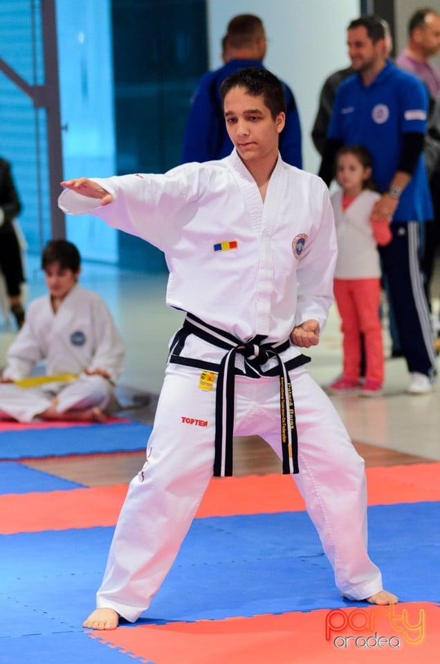 Cupa Bihorul TKD, 