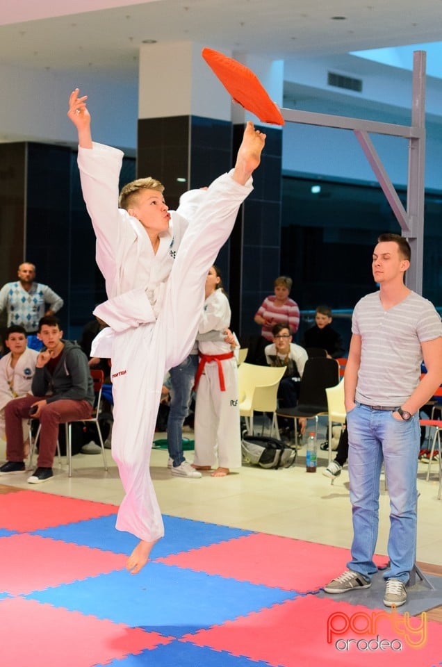Cupa Bihorul TKD, 