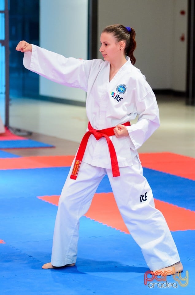 Cupa Bihorul TKD, 