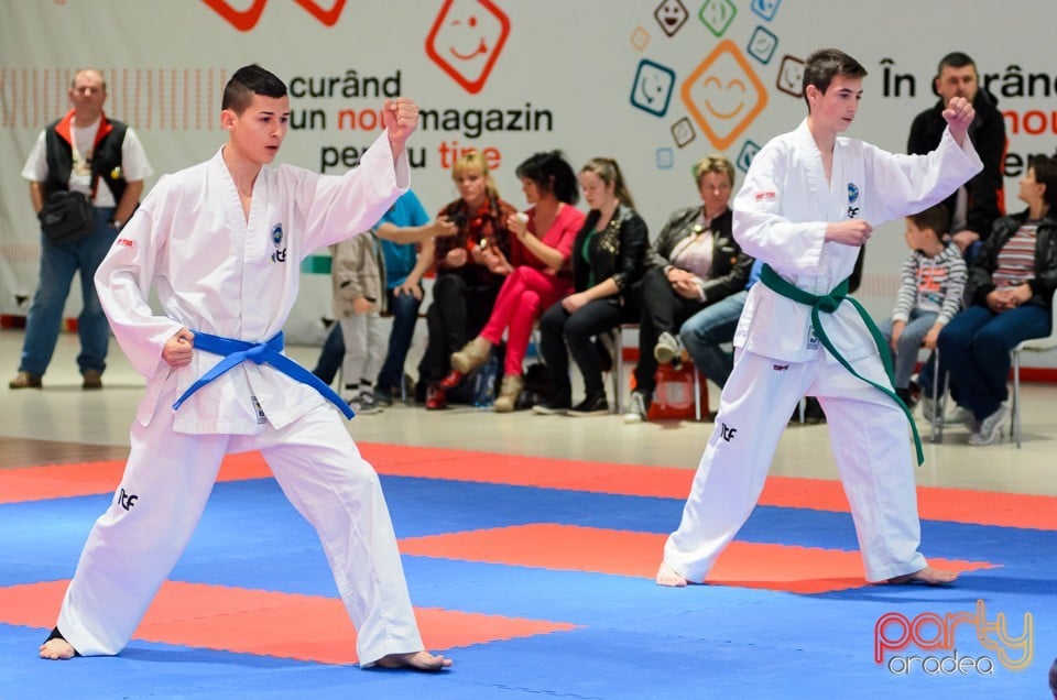 Cupa Bihorul TKD, 