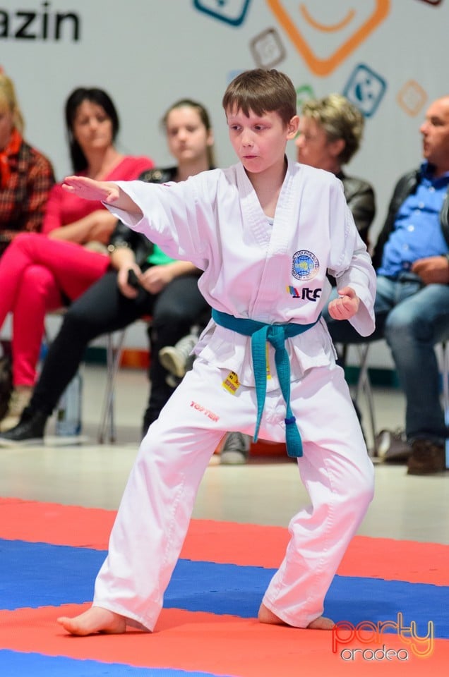 Cupa Bihorul TKD, 