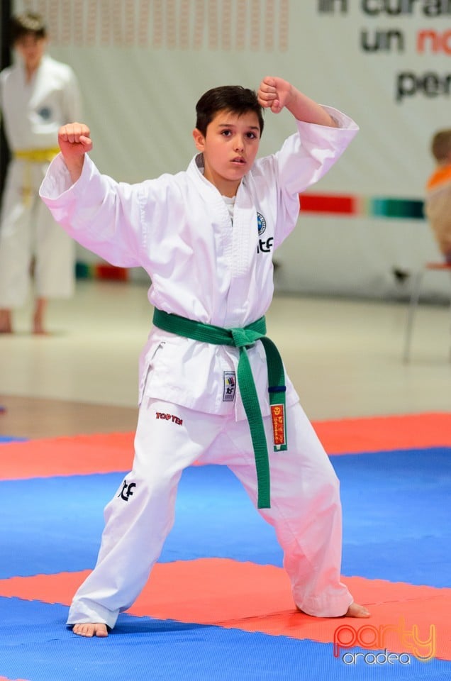 Cupa Bihorul TKD, 