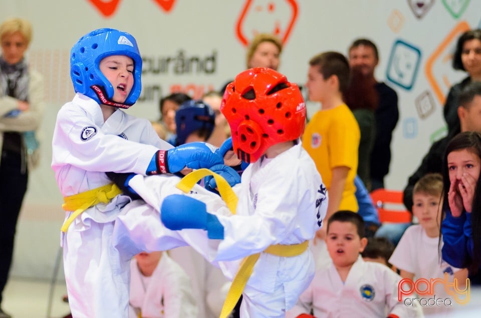 Cupa Bihorul TKD, 