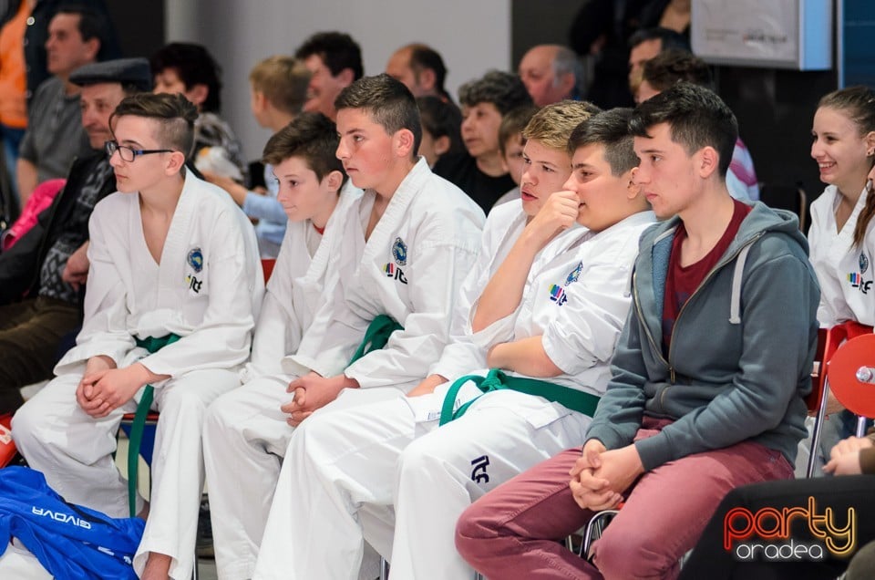 Cupa Bihorul TKD, 