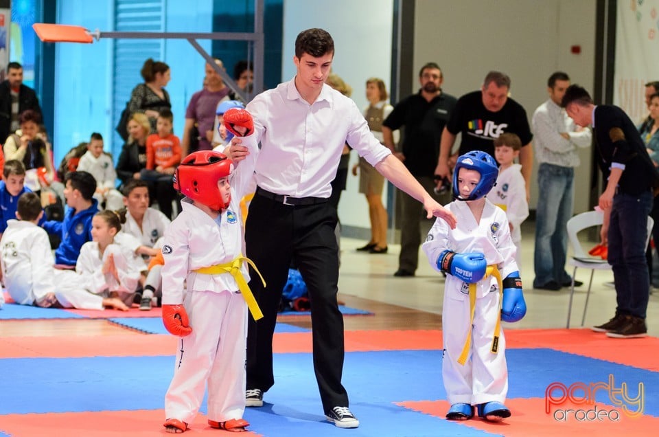 Cupa Bihorul TKD, 