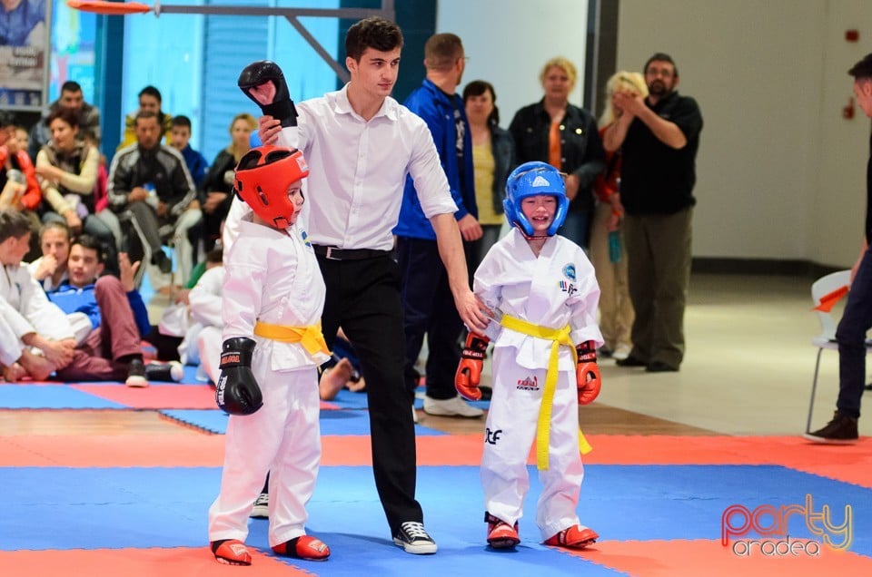 Cupa Bihorul TKD, 