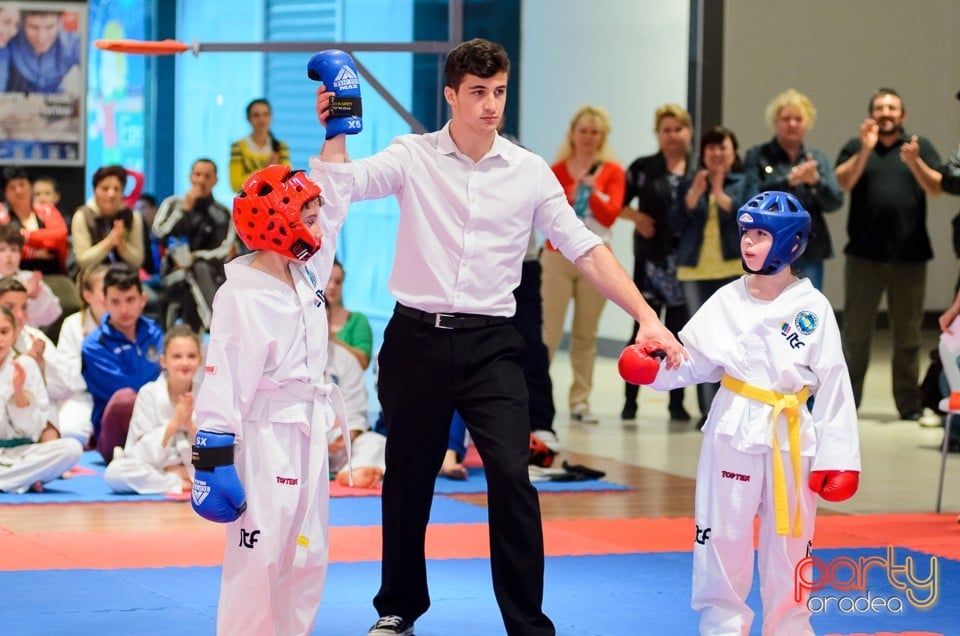 Cupa Bihorul TKD, 