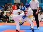 Cupa Bihorul TKD