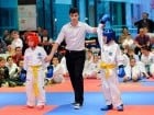 Cupa Bihorul TKD