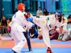 Cupa Bihorul TKD