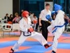 Cupa Bihorul TKD