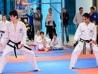 Cupa Bihorul TKD