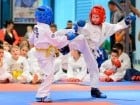 Cupa Bihorul TKD