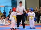 Cupa Bihorul TKD