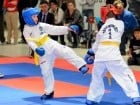 Cupa Bihorul TKD