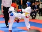 Cupa Bihorul TKD