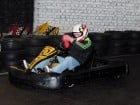 Cupă de Karting