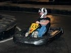 Cupă de Karting