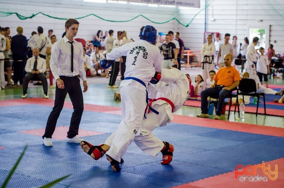 Cupa Internaţională de Taekwon-Do, Universitatea din Oradea