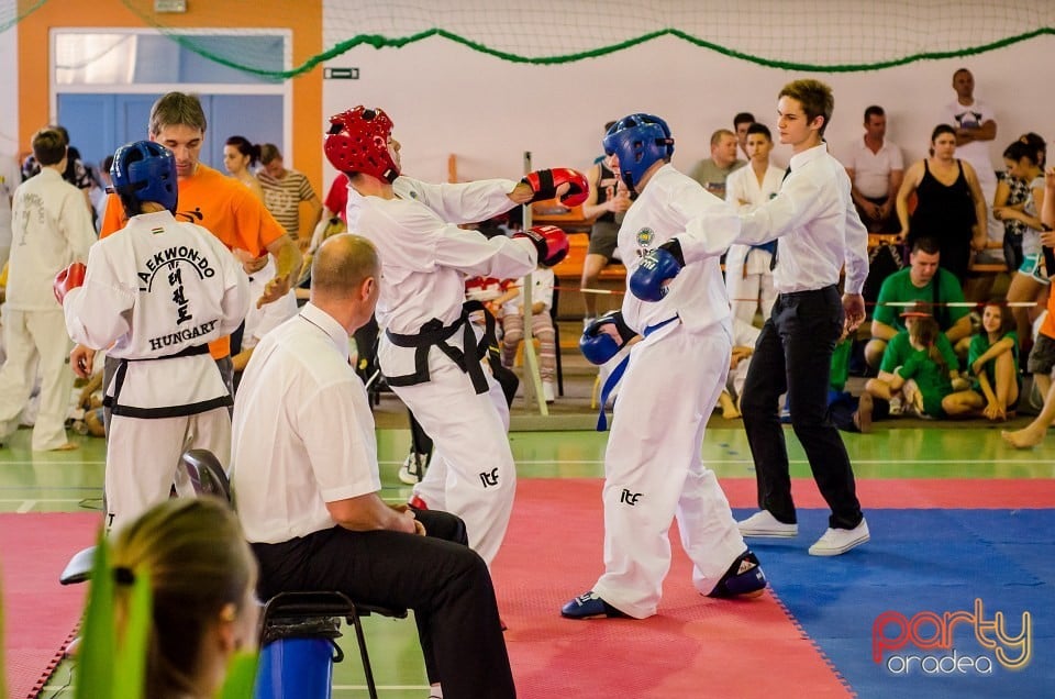 Cupa Internaţională de Taekwon-Do, Universitatea din Oradea