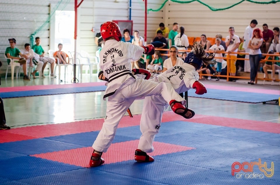 Cupa Internaţională de Taekwon-Do, Universitatea din Oradea