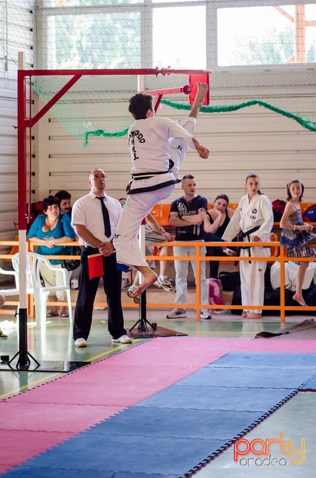 Cupa Internaţională de Taekwon-Do, Universitatea din Oradea