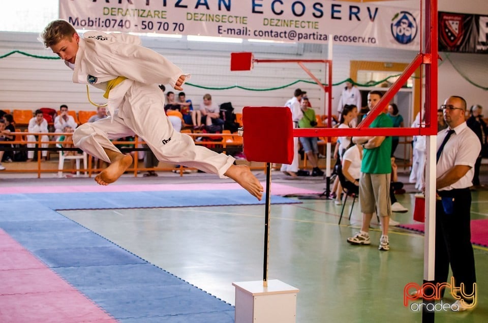 Cupa Internaţională de Taekwon-Do, Universitatea din Oradea