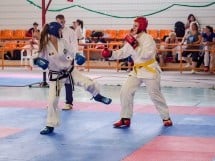 Cupa Internaţională de Taekwon-Do