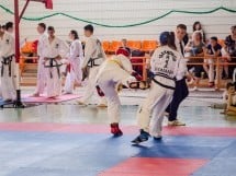 Cupa Internaţională de Taekwon-Do