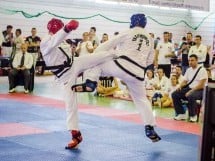 Cupa Internaţională de Taekwon-Do