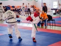 Cupa Internaţională de Taekwon-Do