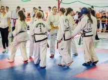 Cupa Internaţională de Taekwon-Do