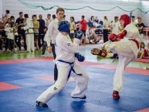 Cupa Internaţională de Taekwon-Do