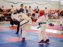 Cupa Internaţională de Taekwon-Do