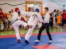 Cupa Internaţională de Taekwon-Do