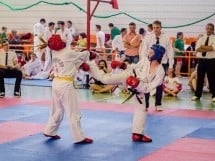 Cupa Internaţională de Taekwon-Do