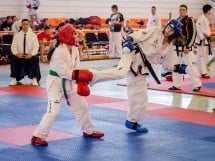 Cupa Internaţională de Taekwon-Do