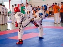 Cupa Internaţională de Taekwon-Do