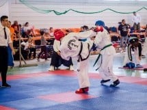 Cupa Internaţională de Taekwon-Do