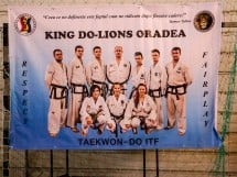 Cupa Internaţională de Taekwon-Do