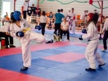 Cupa Internaţională de Taekwon-Do