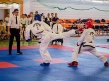 Cupa Internaţională de Taekwon-Do